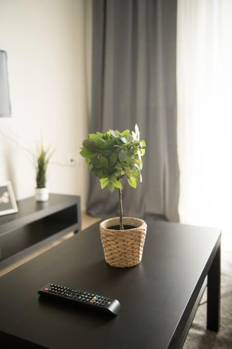 Markopoulosapartments Nea Moudania Eksteriør billede